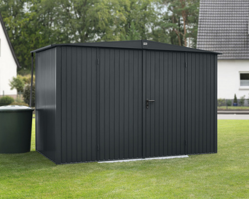 Abri de jardin Hörmann EcoStar Trend-S type 3 RAL7016 porte à deux vantaux 323,6 x 247,7 cm anthracite