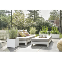 Scène avec ensemble de meubles de jardin comprenant un canapé, un tabouret et des bacs à plantes sur une terrasse