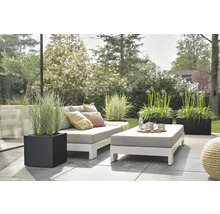 Scène de terrasse avec mobilier de jardin, plantes en pots et coussins décoratifs