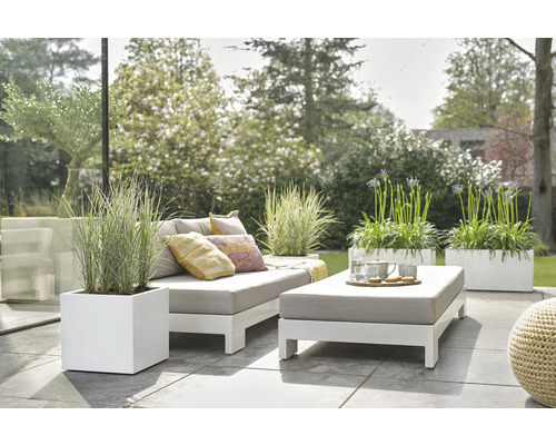 Scène d''extérieur avec canapé, coussins, table, vaisselle et plantes en jardinières