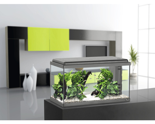 Aquarium aménagé avec poissons et plantes sur un meuble bas