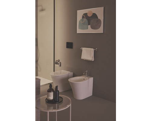 Badezimmer mit Toilette, Bidet, Handtuchhalter und Dekoration
