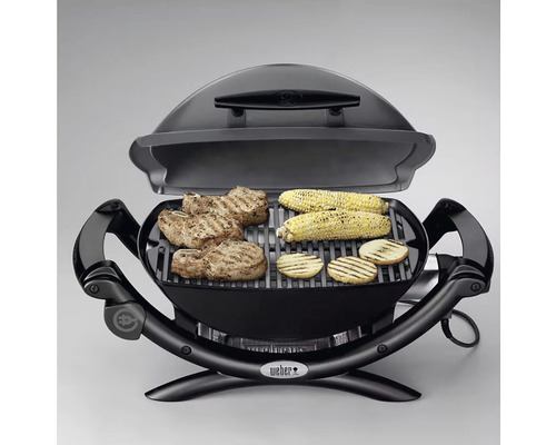 Barbecue électrique Weber Q1400 gris - HORNBACH Luxembourg