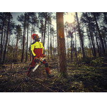 Forestier avec tronçonneuse et vêtements de protection dans la forêt