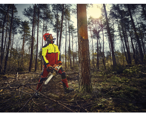 Forestier avec tronçonneuse et vêtements de protection dans la forêt