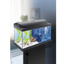 Aquarium Tetra Starter Line Minions 54 l avec éclairage LED, chauffage, nourriture, préparateur d'eau, film pour la paroi arrière 61 x 31 x 30,8 cm