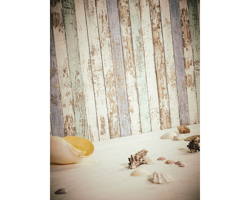 Coquillages décoratifs sur fond en bois