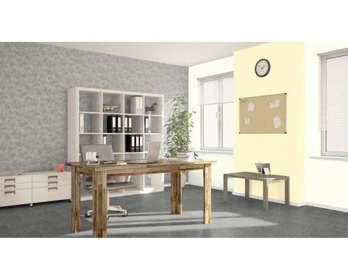 Büro mit Schreibtisch, Regal und Büromöbeln