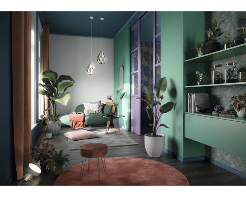 Salon avec canapé, plantes, tapis et étagères pour un aménagement intérieur décoratif