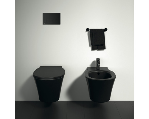 Wandhängendes WC und Bidet mit Betätigungsplatte und Handtuch