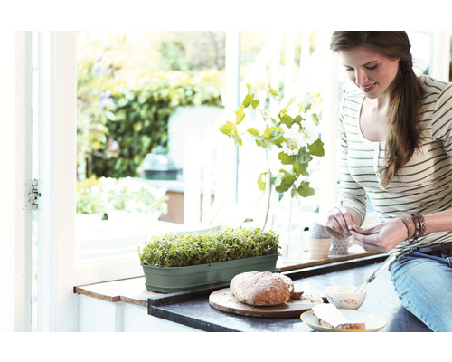 Une femme prépare un repas dans la cuisine, avec des herbes aromatiques dans une jardinière sur le rebord de la fenêtre.