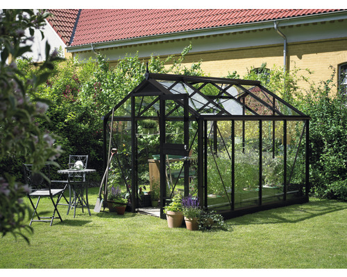 Serre avec plantes dans un jardin