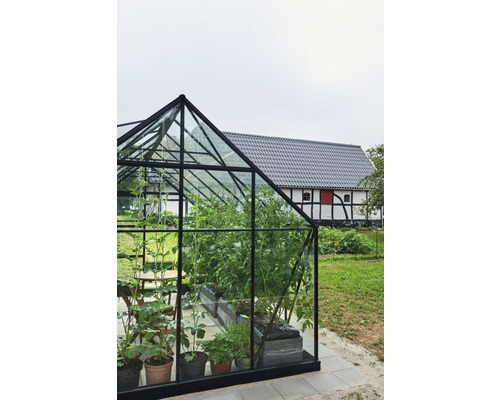 Serre avec des plantes dans le jardin