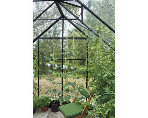 Serre avec des plantes et une chaise