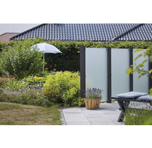 Scène de jardin avec écran de confidentialité, plantation et parasol