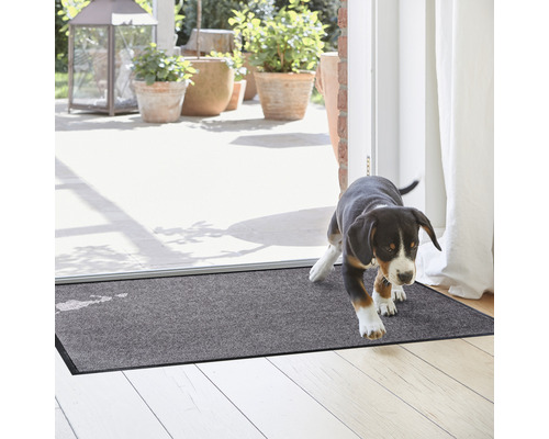 Tapis de sol gris dans l''entrée avec chien