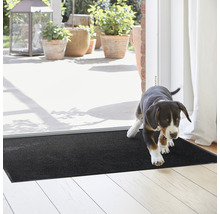Un paillasson noir est placé devant une porte de terrasse, un chien entre à l''intérieur.