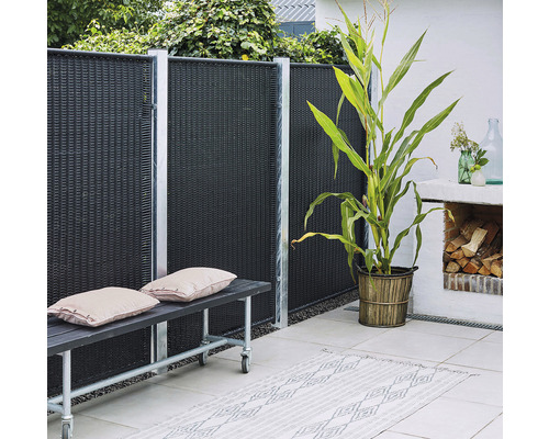 Scène de jardin avec brise-vue, banc, plante et décoration de jardin pour un espace extérieur élégant