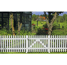Weißer Gartenzaun mit Tor und Gartenhütte im Hintergrund