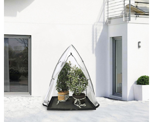 Tente de protection des plantes avec deux plantes en pot sur un plateau dans la neige