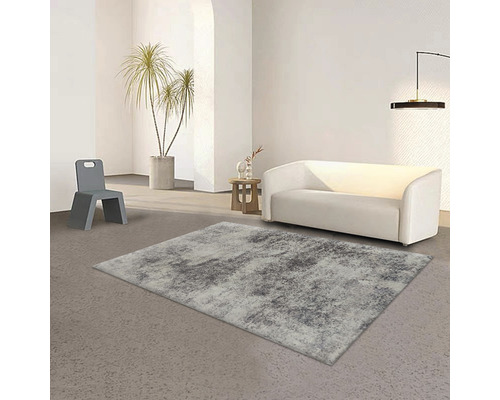 Salon avec tapis, canapé, chaise et plante d''intérieur