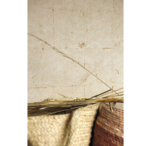 Geflochtene Körbe und getrocknetes Gras vor einer Wand
