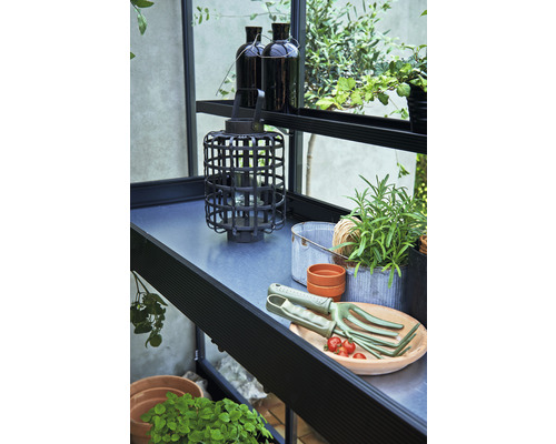 Gartenszene mit Pflanzen, Laterne und Gartengeräten auf einem Regal