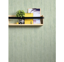 Wandgestaltung mit Regal, Pflanze und Dekoration