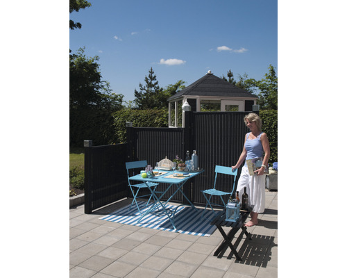 Scène de jardin avec table, chaises, écran de confidentialité et abri de jardin