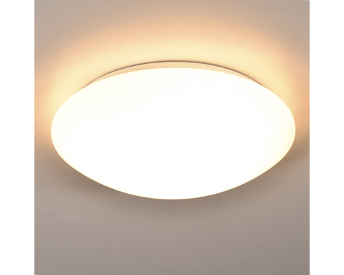 Plafonnier LED 10W 1400 lm 2700 K blanc chaud HxØ 95x300 mm blanc