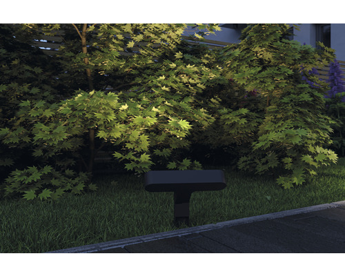 Garten mit Bäumen und Aussenleuchte