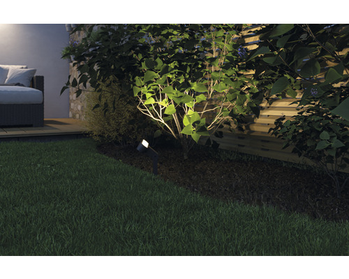Beleuchteter Garten mit Rasen, Strauch und Aussenleuchte