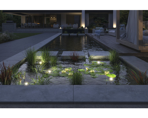 Beleuchteter Gartenteich mit Seerosen und Trittsteinen in einem modern gestalteten Garten.