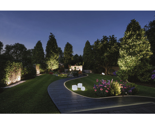 Beleuchteter Garten mit Weg, Rasen und Bäumen bei Nacht