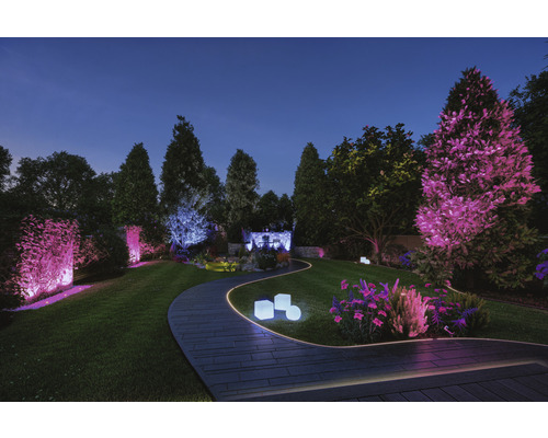 Beleuchteter Garten mit Weg, Rasenfläche und Bäumen am Abend