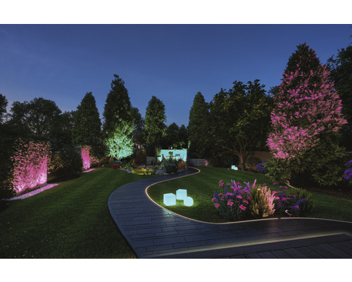 Beleuchteter Garten mit Weg, Bäumen und dekorativer Gartenbeleuchtung in der Abenddämmerung