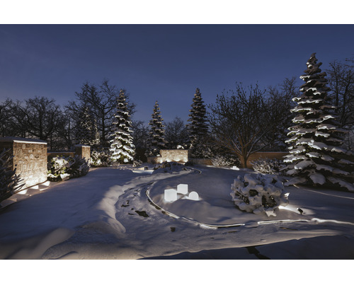 Winterlandschaft mit beleuchteten Bäumen und Gartenweg im Schnee