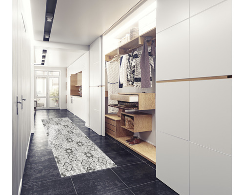 Couloir avec armoire, étagères et tapis