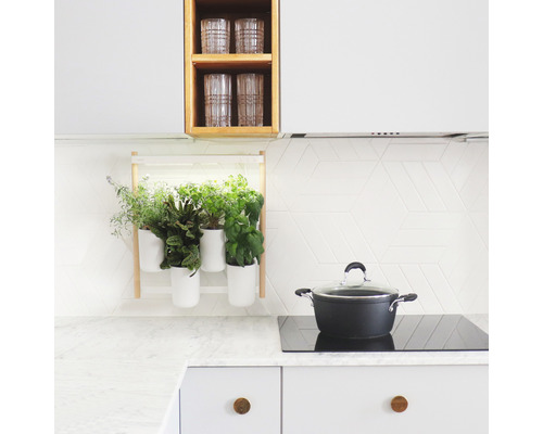 Cuisine claire avec jardin d''herbes aromatiques au mur, casserole sur la cuisinière et verres dans l''étagère