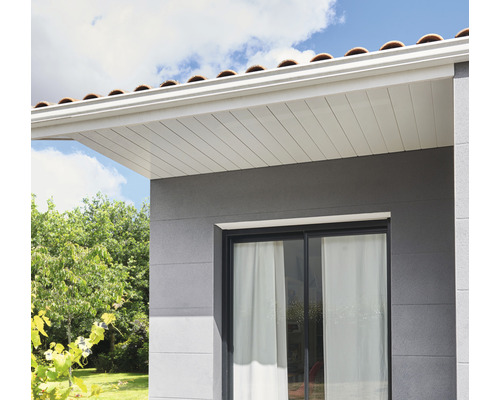 Aussenansicht eines Hauses mit Dach und Fassade