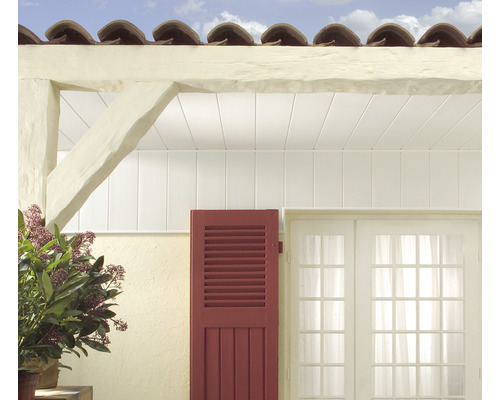 Szene mit Fassadenverkleidung, Fenster und Fensterladen