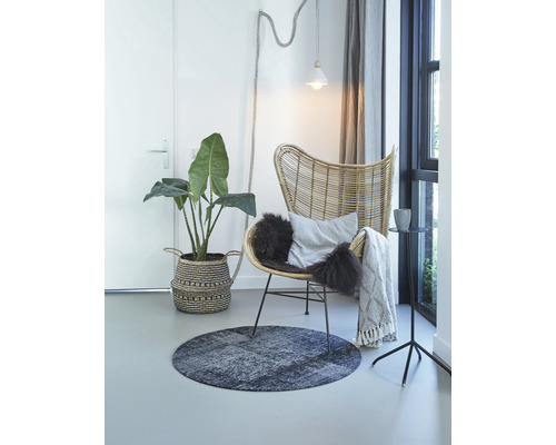 Intérieur avec fauteuil en rotin, tapis rond, plante d''intérieur et décoration