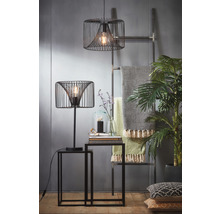 Intérieur décoratif avec luminaires en fil métallique, tables d''appoint, couverture et plante d''intérieur