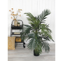 Plante d''intérieur décorative en pot à côté d''une étagère avec des décorations