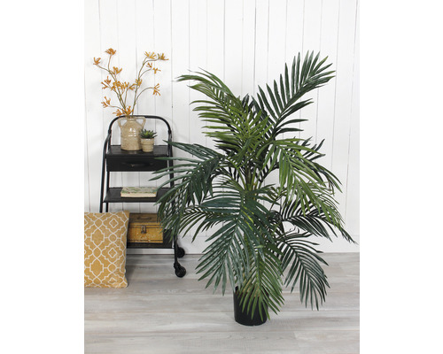 Plante d''intérieur décorative en pot à côté d''une étagère avec des décorations