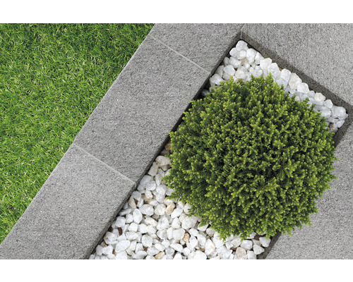 Jardin avec pelouse, pavés, gravier décoratif et arbuste