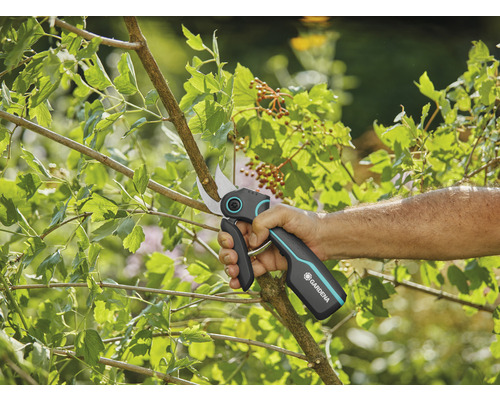 Main coupant une branche avec un sécateur Gardena
