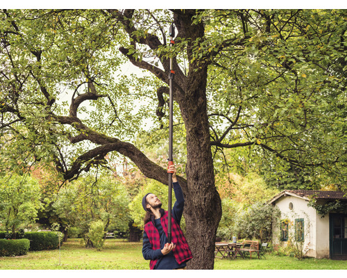 Mann benutzt eine Astschere mit Teleskopstiel in einem Garten.