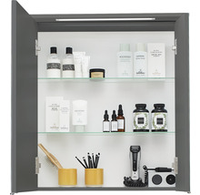 Spiegelschrank Pelipal xpressline 3261 66 x 16 x 72 cm grau 2-türig LED