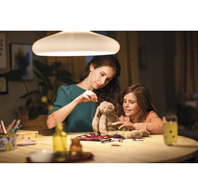 LED Lampe A60 matt E27/2,2W(25W) 250 lm 2700 K warmweiß
